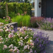 9MQP9Y Traumgärten Kleine Gärten,Patio & Atrium