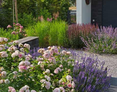 9MQP9Y Traumgärten Kleine Gärten,Patio & Atrium