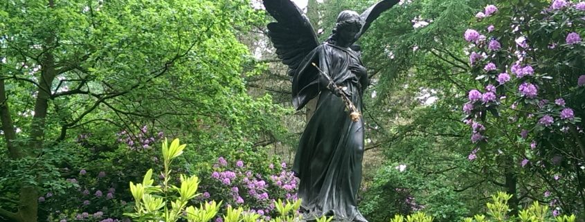 Naturpool & Swimmingpool