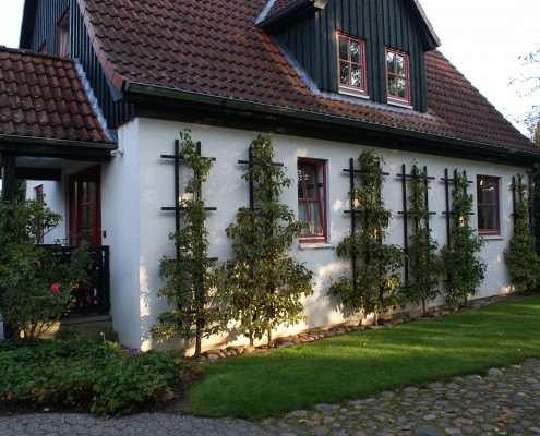 Alte Obstsorten als Spalier