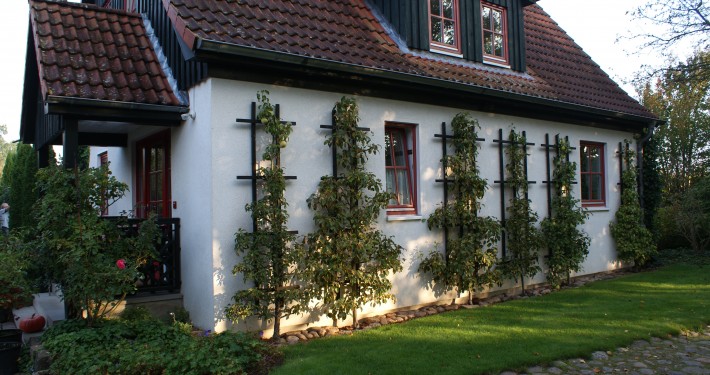 Alte Obstsorten als Spalier