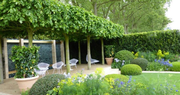 Linden in Kastenform bieten Schatten im Garten