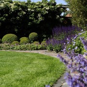 atriumgaerten-kleine-gaerten-innenhof-atrium-oder-patio (24) Kreisunder Rasen in einem kleinen Reihenhausgarten