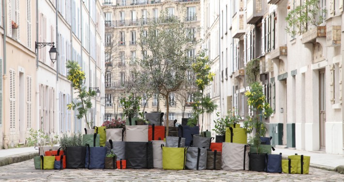 bacsac-1 Gestaltungstrends Kräutergarten