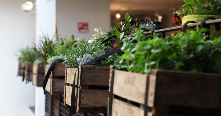 bacsac-2 Gestaltungstrends Kräutergarten