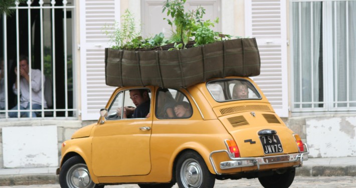 bacsac-4 Gestaltungstrends Kräutergarten