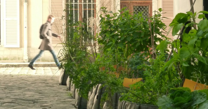 bacsac-7 Gestaltungstrends Kräutergarten