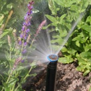 bewaesserung-beregnen-waessern-automatische-gartenberegnung (1) einstellbare Sprühwinkel schützen die Hauswand