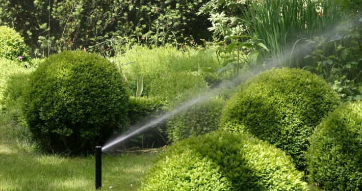 bewaesserung-beregnen-waessern-automatische-gartenberegnung (13) Versenkregner im Rasen sind ohne Wasserdruck unsichtbar