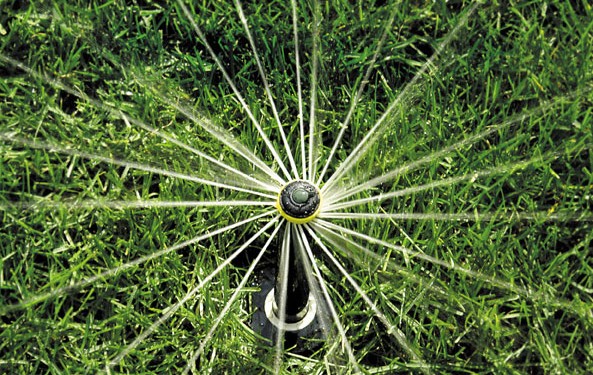 bewaesserung-beregnen-waessern-automatische-gartenberegnung (3) Rotary-Düsen für Beete und Stauden mit mittlerer Wurfweite von Rainbird