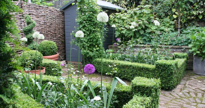 Pflanzen mit Motto Immergrüne in Form & Knoten