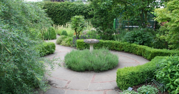 Pflanzen mit Motto Immergrüne in Form & Knoten