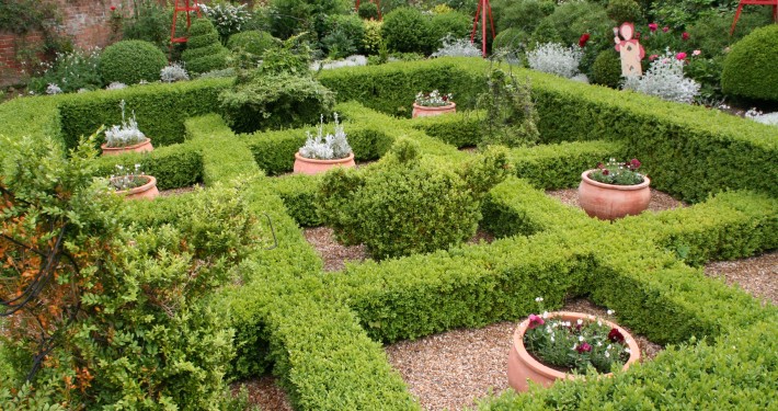 Pflanzen mit Motto Immergrüne in Form & Knoten