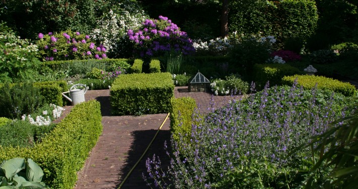 Pflanzen mit Motto Immergrüne in Form & Knoten