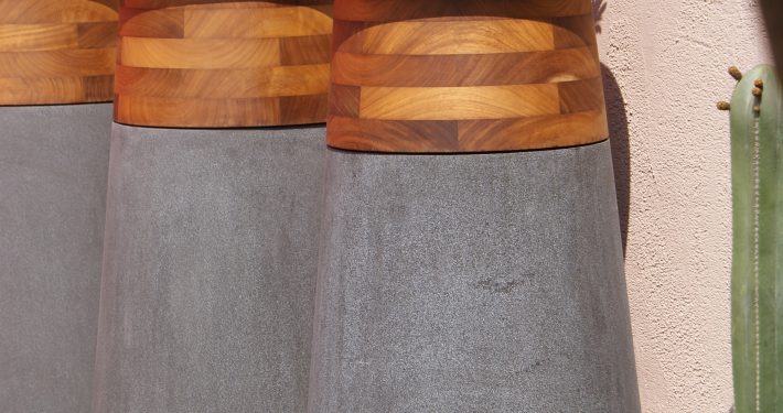 Pflanzen mit Motto Solitäre im Topf