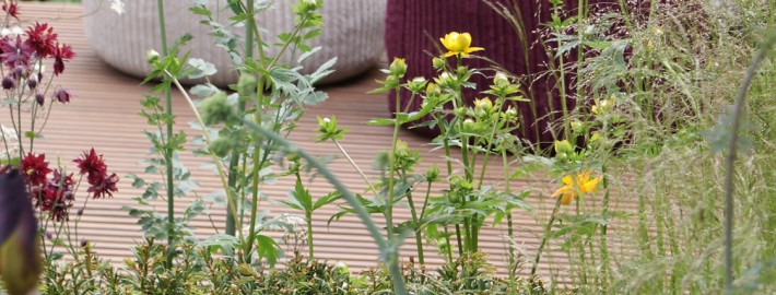 Moderne Gartengestaltung für Uelzen, Lüneburg, Gifhorn, Celle und Munster