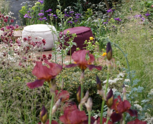 Innovative Gartengestaltung für Uelzen, Lüneburg, Gifhorn, Celle und Muster