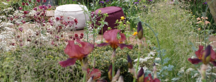 Innovative Gartengestaltung für Uelzen, Lüneburg, Gifhorn, Celle und Munster