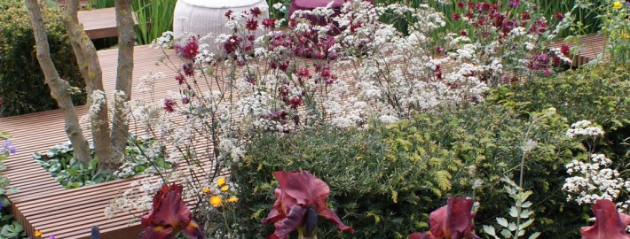 Exklusive Gartengestaltung für Uelzen, Lüneburg, Gifhorn, Celle und Muster