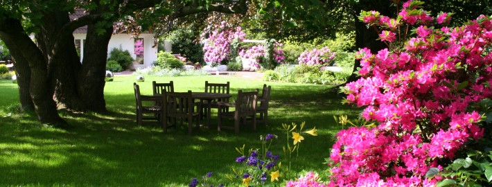 Sitzplatz im Schatten unter Bäumen und die Rhododendron und Azaleen blühen