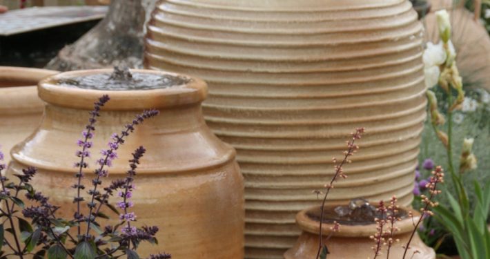 Pflanzen mit Motto Solitäre im Topf