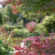 Der Herbstliche Garten ist mit der Laubfärbung und der späten Blüte ein farbenfrohes Abwinken des Gartenjahrs