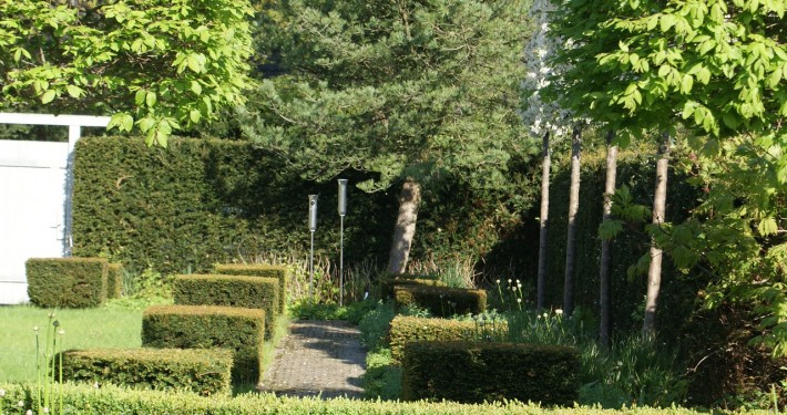 platzsparend bieten Hochstammspaliere Sichtschutz über 1,80 m Höhe