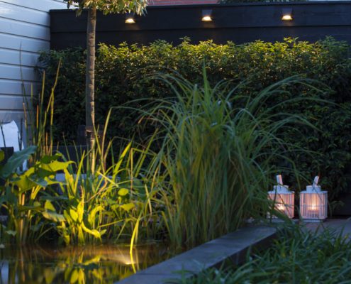 in-lite-licht-indirekt-gartenbeleuchtung-zinsser (14) Traumgärten Illumination - Licht im Garten