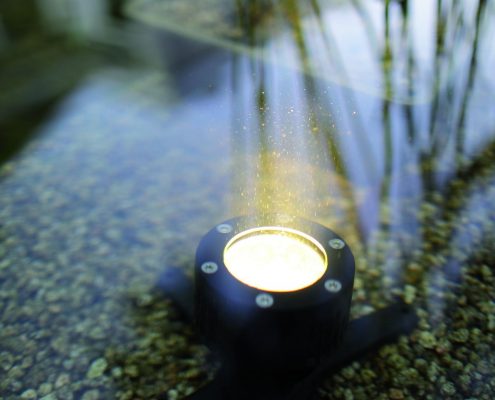 in-lite-licht-indirekt-gartenbeleuchtung-zinsser (2) Traumgärten Illumination - Licht im Garten