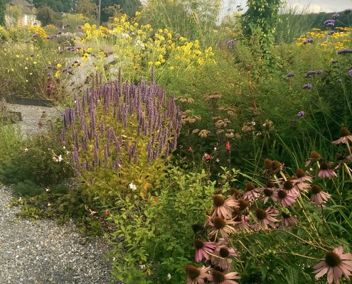 Tipps & Trends Gestaltungstrends