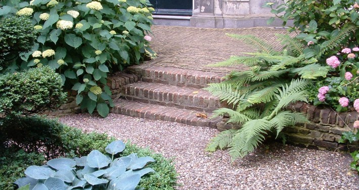 Kiesfläche und Klinker mit Hortensien , Buchsbaum, Farn und funkien