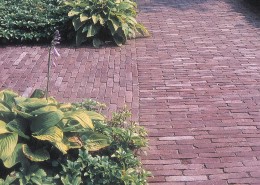 Klinker-Weg durch Staudenbeet mit hochkant verlegten Steinen