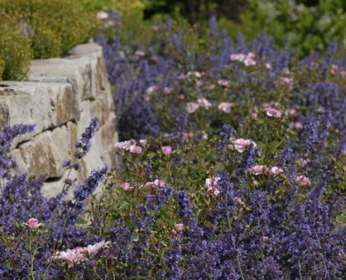 Tipps & Trends Gestaltungstrends