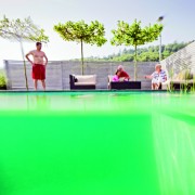 Schwimmteich mit klarem Wasser und biologischer Filterung