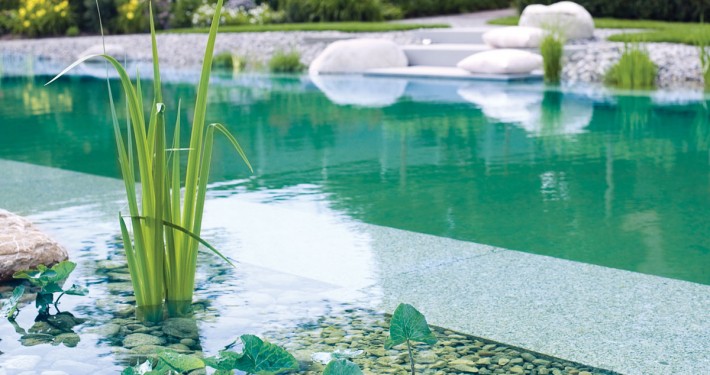 Schwimmteich mit klarem Wasser und biologischer Filterung