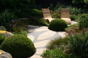 Garten-Pflegetipps Hilfe für Buchsbaum