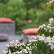 9MQVAW Traumgärten Kleine Gärten,Patio & Atrium