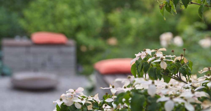 9MQVAW Traumgärten Kleine Gärten,Patio & Atrium