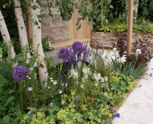 mehrstämmige Birken kombiniert mit Stauden