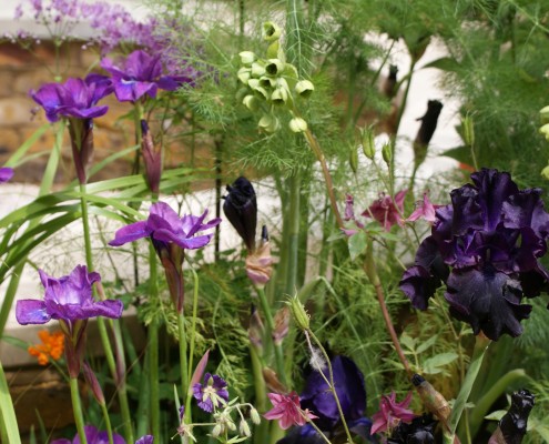 Staudenvielfalt im Blumenbeet