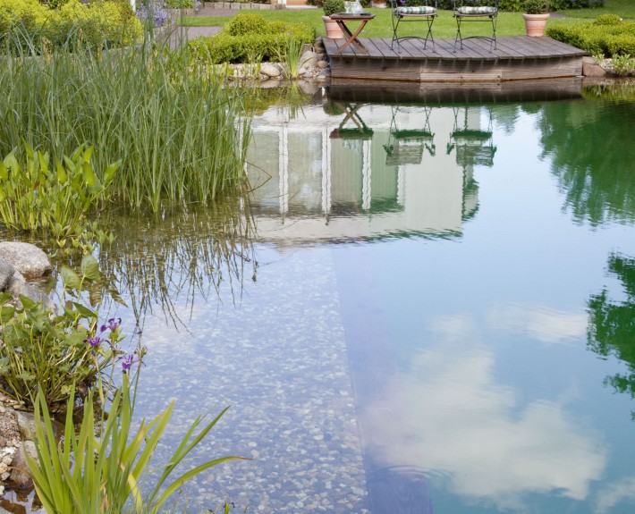 Nur für privaten Gebrauch und eigene Website Biologische Filterung