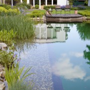 Holz schützt die Teichfolie vor Beschädigung, die steilen Wände vergrößern die Schwimmzone