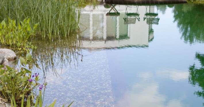 Holz schützt die Teichfolie vor Beschädigung, die steilen Wände vergrößern die Schwimmzone