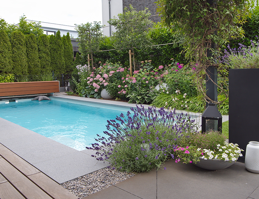 Naturpool & Swimmingpool