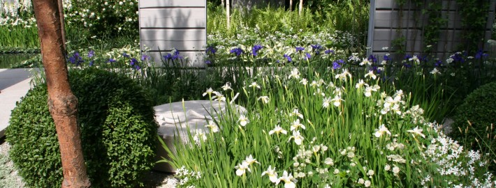 Ein Patio ist ein kleiner Garten