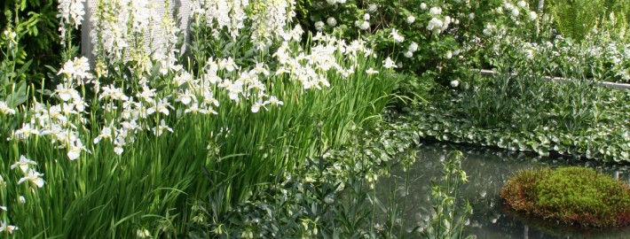 schlichte und pflegeleichte Bepflanzung